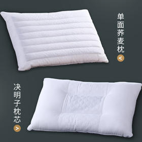 康尔馨酒店枕头枕芯单人荞麦皮决明子枕头护颈枕成人家用颈椎枕
