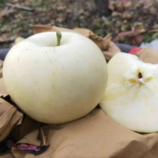 山东【奶油富士苹果】脆甜多汁，果香浓郁，口感细腻，自然成熟 商品图5