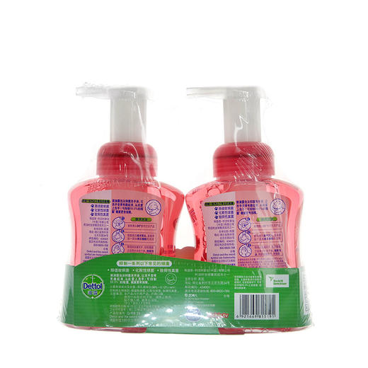 滴露泡沫抑菌洗手液汪汪队樱桃芬芳250ml*2 商品图1