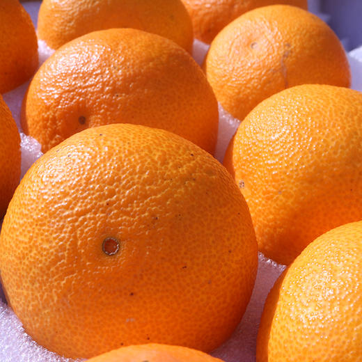 象山红美人柑橘 2500g 商品图3