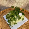 | 香菜很香蛋糕 | 商品缩略图2