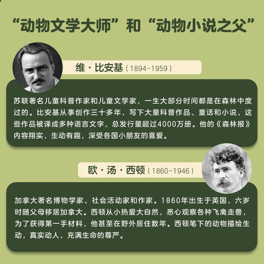 给孩子的经典动物文学 （礼盒装共14册）西顿野生动物 狼王洛波 商品图3