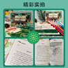 给孩子的经典动物文学 （礼盒装共14册）西顿野生动物 狼王洛波 商品缩略图7