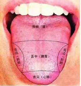 视频：如何从舌苔来判断自我健康和体质1