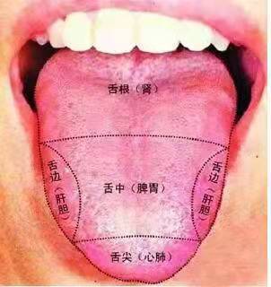 视频：如何从舌苔来判断自我健康和体质1 商品图0