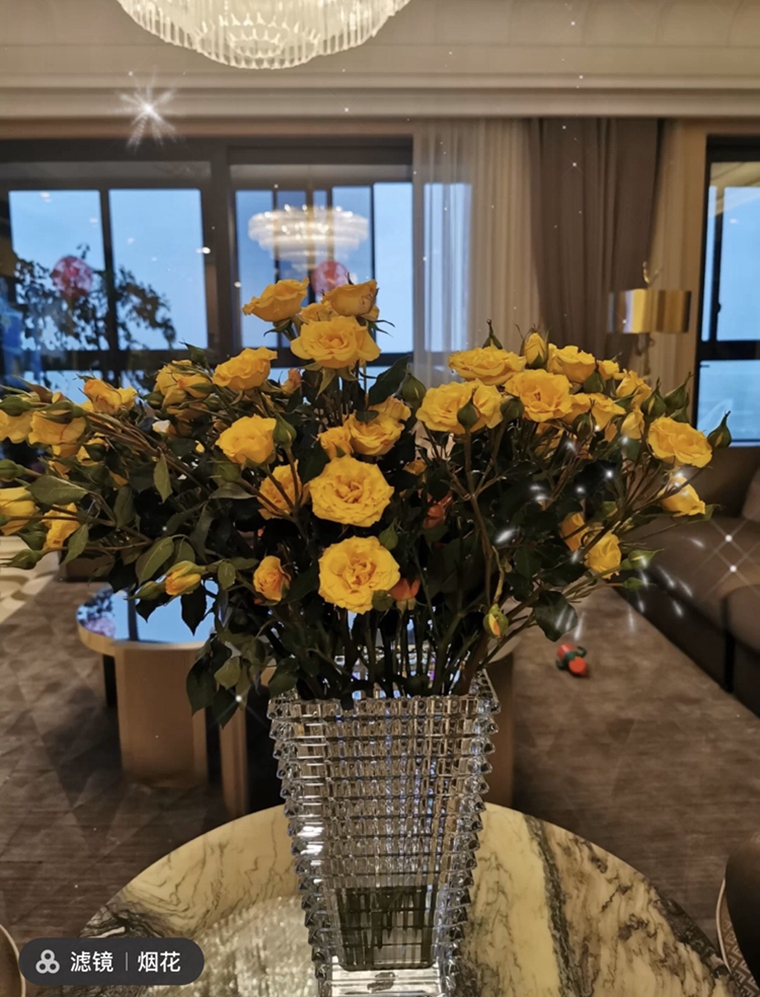 巴卡拉水晶花瓶大号中号 拔草啦团购