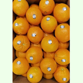 【社群秒杀】澳洲黑标3107脐橙2个 500g左右 汁多味甜 橙心诚意 生鲜商品请尽快提货