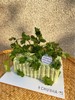 | 香菜很香蛋糕 | 商品缩略图3