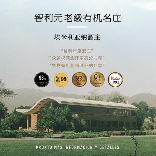 【世界葡萄酒品牌50强】喜戈诺黑皮诺干红葡萄酒 智利原瓶原装进口 13.5%vol 商品图7
