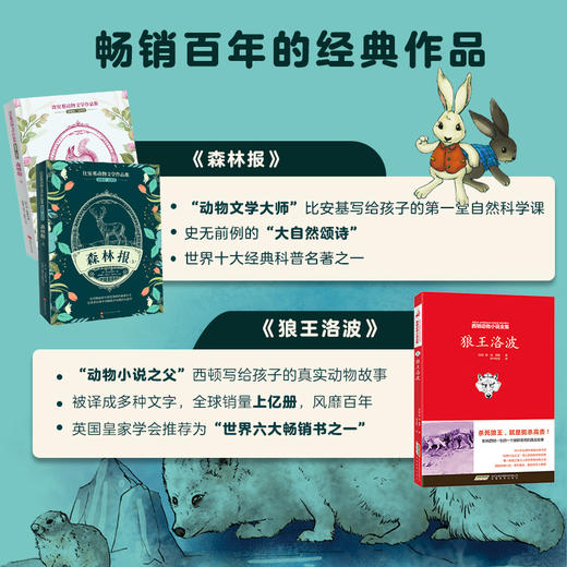 给孩子的经典动物文学 （礼盒装共14册）西顿野生动物 狼王洛波 商品图4
