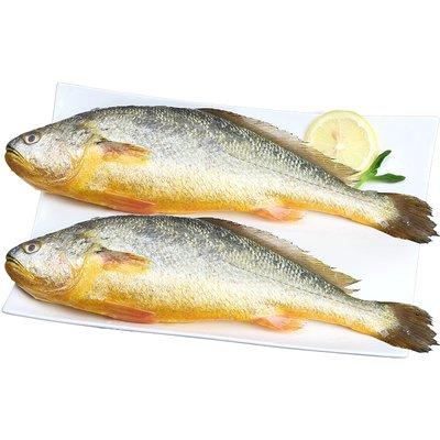 冰鲜黄花鱼 500g 商品图0