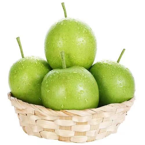 黄灵翡翠梨 产地直发 商品图2