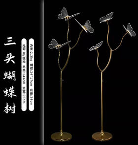 三头蝴蝶树【运费自理】