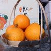 象山红美人柑橘 2500g 商品缩略图2