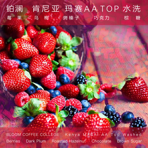 铂澜肯尼亚玛赛AA TOP水洗精品手冲咖啡豆新鲜烘焙袋装代磨粉莓果 商品图0