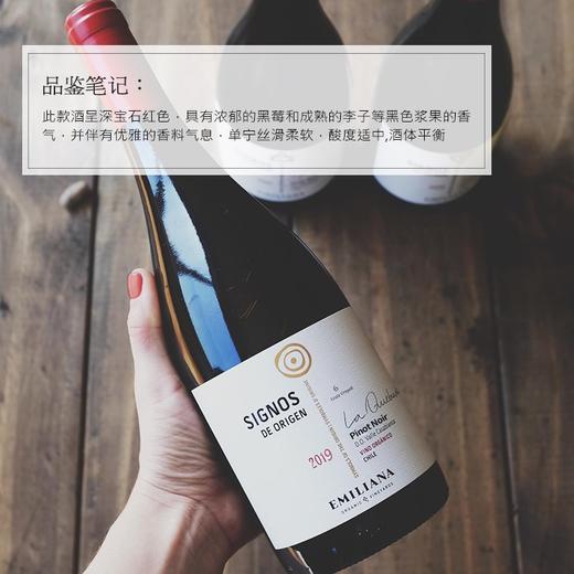 【世界葡萄酒品牌50强】喜戈诺黑皮诺干红葡萄酒 智利原瓶原装进口 13.5%vol 商品图2