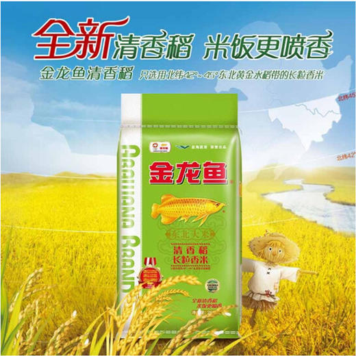 金龙鱼清香稻长粒香米【25kg】 商品图1