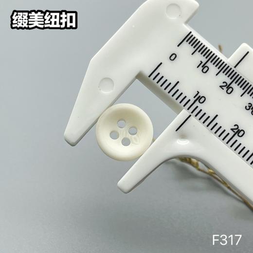 F317(整包购买) 商品图4