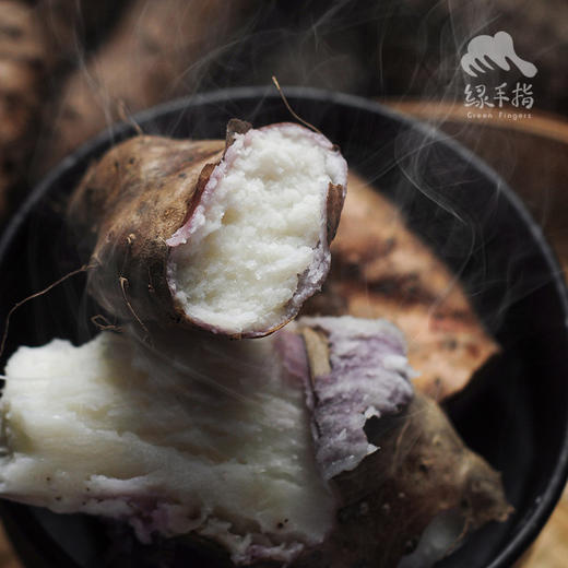 有机森林山药  | 合作生产 * Organic Forest Chinese yam | Coproduction 商品图3