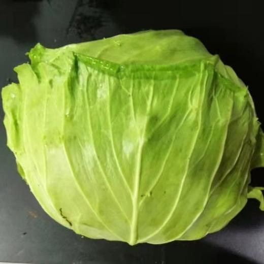 记得回家吃饭 ｜生态蔬菜包 ｜蔬菜配送 ｜不要忘了包装哦 商品图14