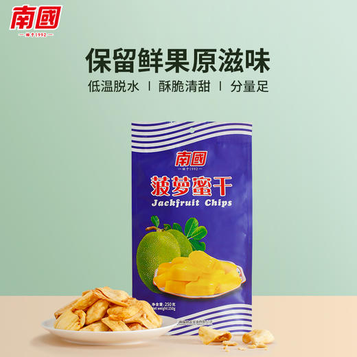 【南国NanGuo】 菠萝蜜干脆片 250g/袋 商品图0