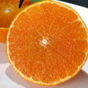 象山红美人柑橘 2500g 商品缩略图8