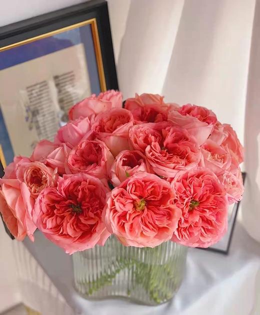 玫瑰伦敦眼目光所及皆是你