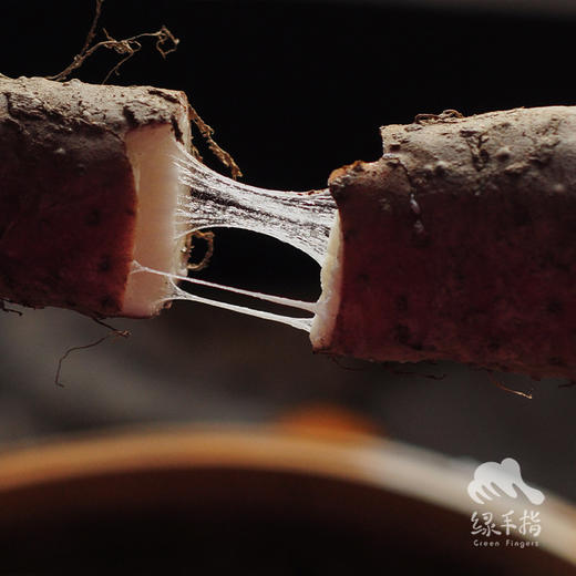 有机森林山药  | 合作生产 * Organic Forest Chinese yam | Coproduction 商品图4