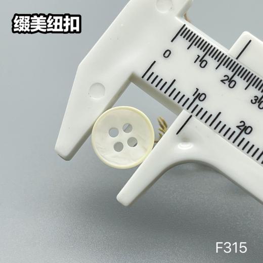 F315(整包购买) 商品图4