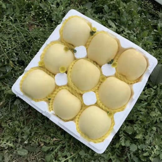 山东【奶油富士苹果】脆甜多汁，果香浓郁，口感细腻，自然成熟 商品图7