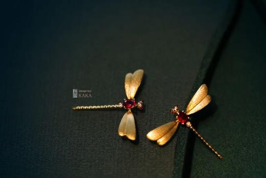 红蜻蜓，初见的惊艳 商品图1