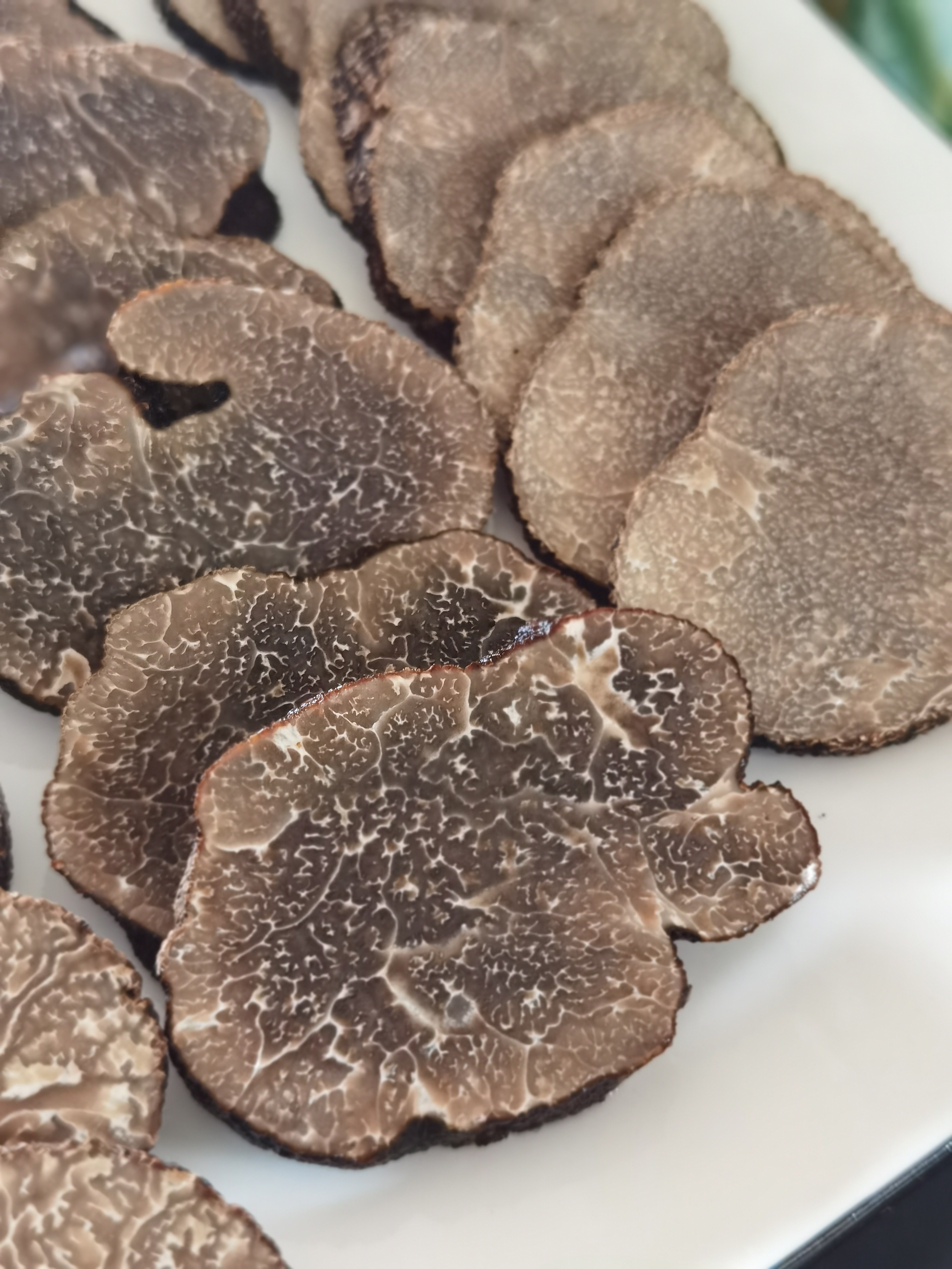 大凉山野生黑松露