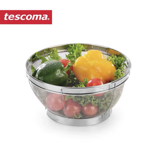 5F司顿国际生活馆  tescoma滤水篮30cm 商品图0