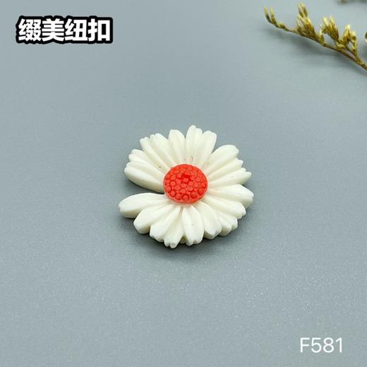 F581(整包购买) 商品图1