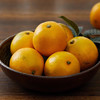 预售 | 2021褚橙 新鲜水果冰糖橙L号5kg礼盒装10斤[福利品] 商品缩略图8