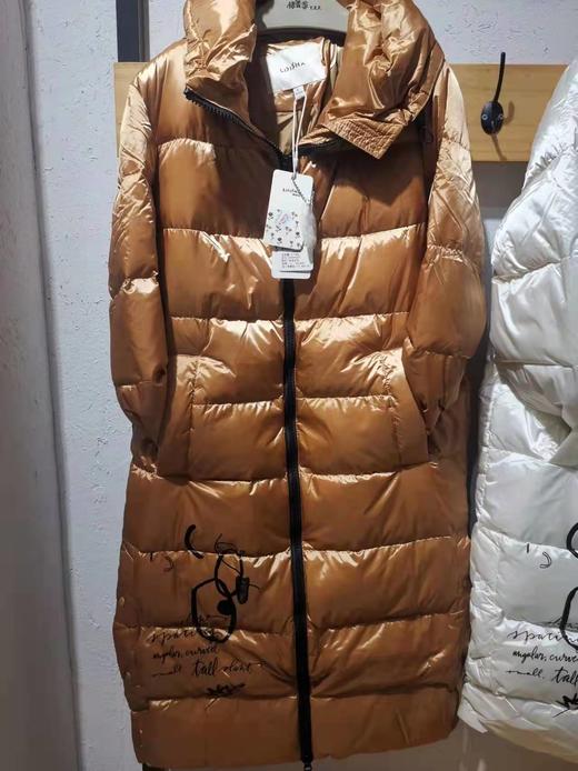 丽迪莎Y2221款羽绒服 商品图0