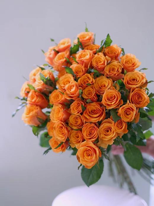 【周四秒杀】辉煌玫瑰一份15枝 59.8元 商品图0