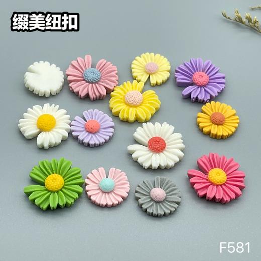 F581(整包购买) 商品图9