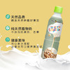 25年10月生产 统洋无糖发芽黄豆植物蛋白饮料450ml*24瓶家庭整箱装黄豆营养早餐 商品缩略图3