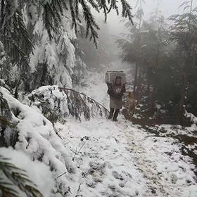  云端上的雪山山药，你确定不尝一下吗？ 