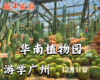 12月11日 游学广州——华南植物园 商品缩略图0