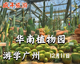 12月11日 游学广州——华南植物园