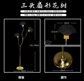 三头扇形花树（运费自理）