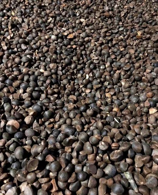 山茶油 商品图2