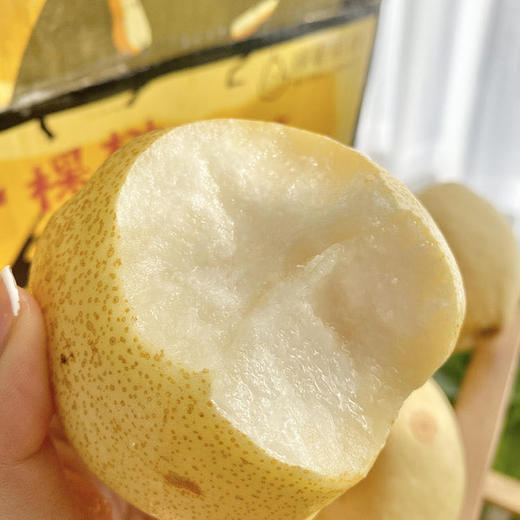 山西蜂蜜脆梨1012颗装净重485斤