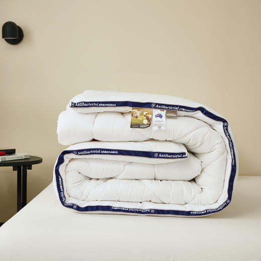 【抗菌羊毛被】羊毛被纯色澳洲羊毛被芯立体羊毛被秋冬保暖被子 商品图3