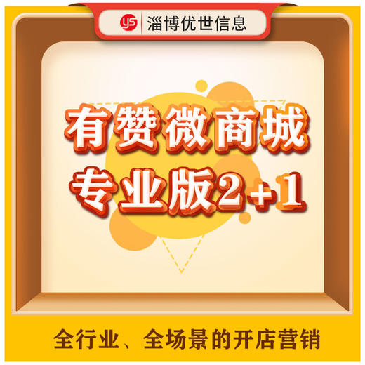 微商城专业版2+1 商品图0