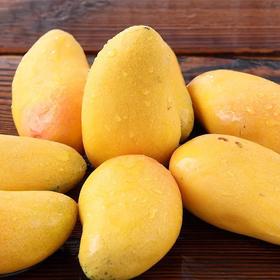 小台农芒果  500g