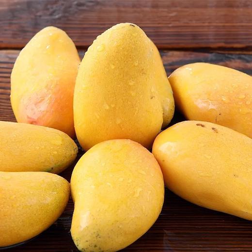 小台农芒果  500g 商品图0