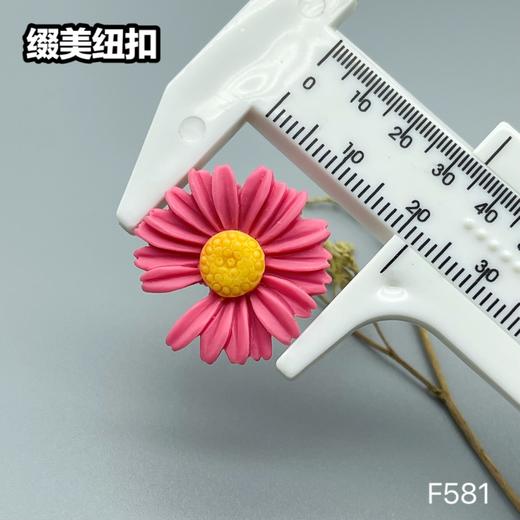 F581(整包购买) 商品图10
